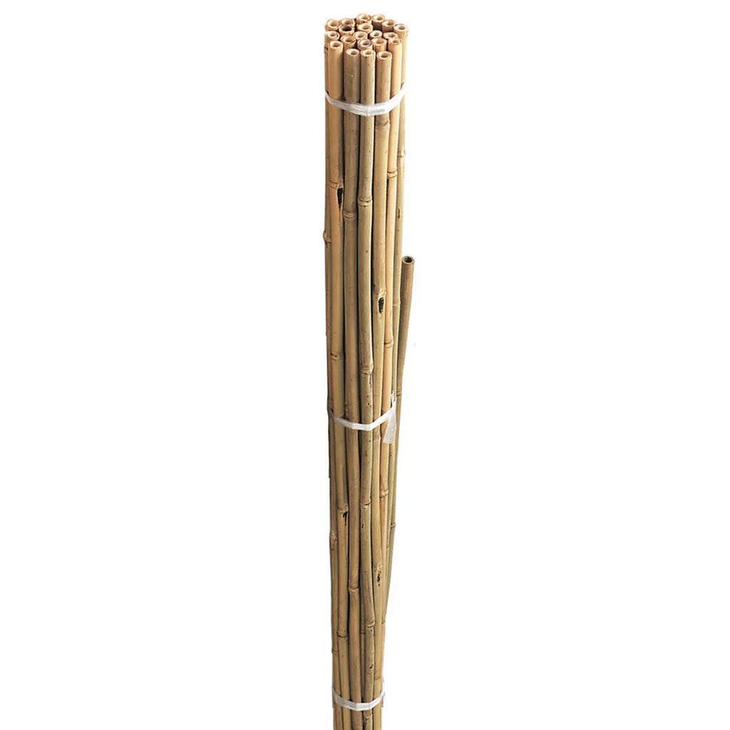 Bamboo Canes - 5ft / 150cm (bundle of 20)