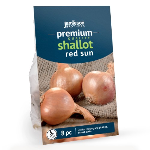 Red Sun Shallot 8pk (10/12cm)