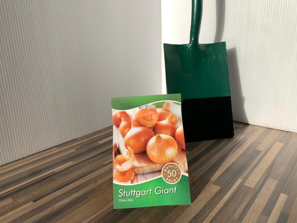 Stuttgarter Giant - Onion Set - 50 per pack