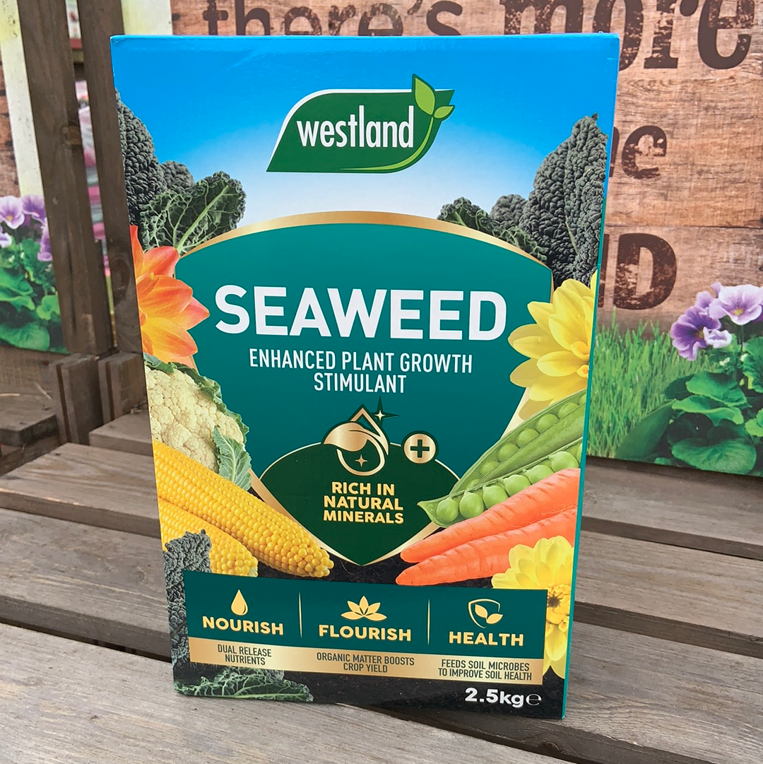 Seaweed Enhanced 2.5kg Box